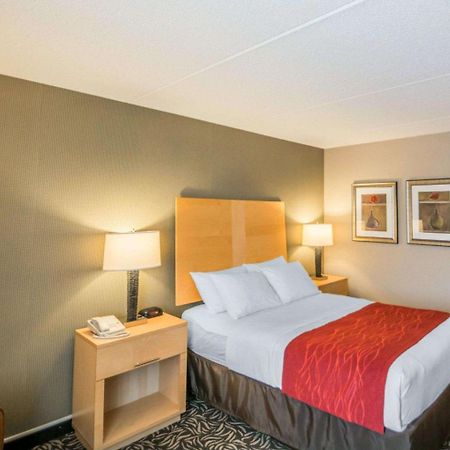 Comfort Inn - Nys Fairgrounds Syracuse Extérieur photo