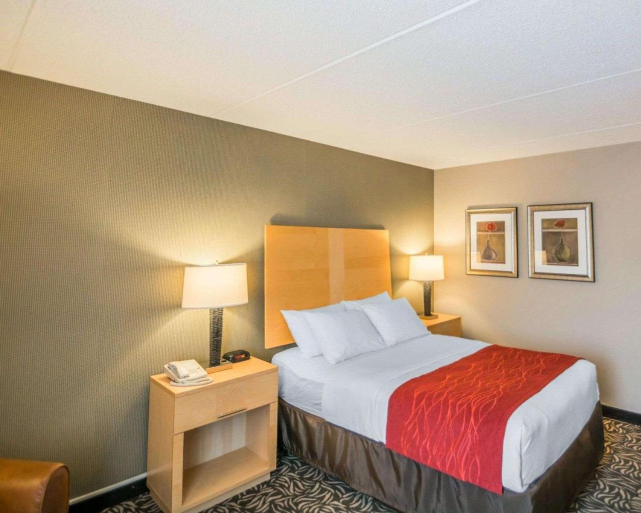 Comfort Inn - Nys Fairgrounds Syracuse Extérieur photo